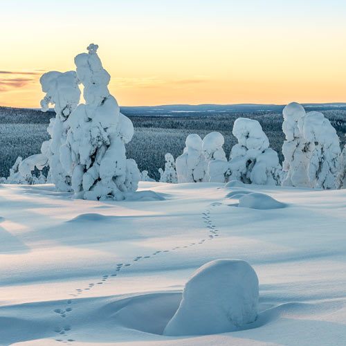 © Visit Finland