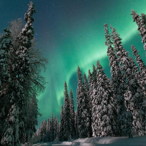 Nordlichter in verschneiter Winterlandschaft in Finnland © Hannes Becker / Visit Finland