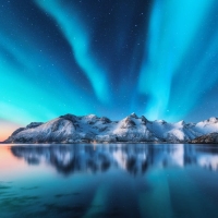 Winter auf den Lofoten